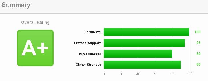 wynik testu ssl