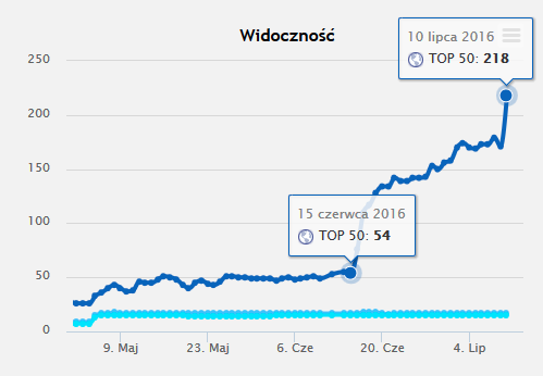 case study dotyczące pozycjonowania 