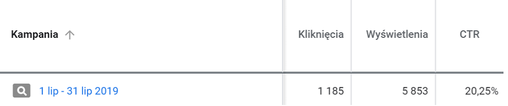 Miesięczna ilość kliknięć w kampanii AdWords 