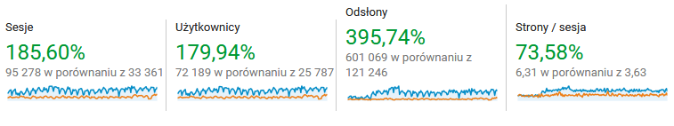 pozycjonowanie dla sklepfryz.pl