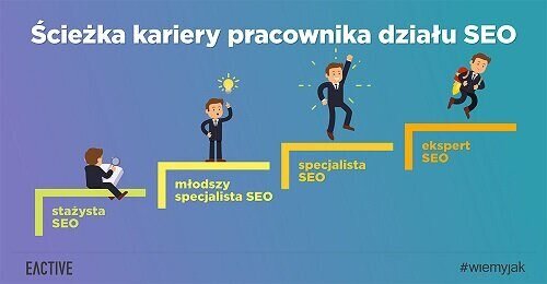 Praca w SEO – ścieżka kariery od stażysty do eksperta