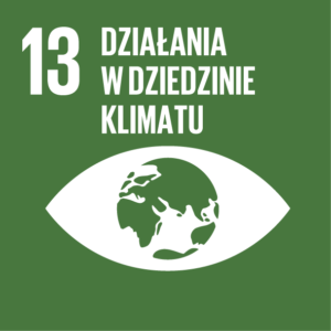 13 DZIAŁANIE W DZIEDZINIE KLIMATU