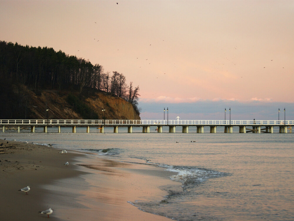 Pozycjonowanie stron Gdynia