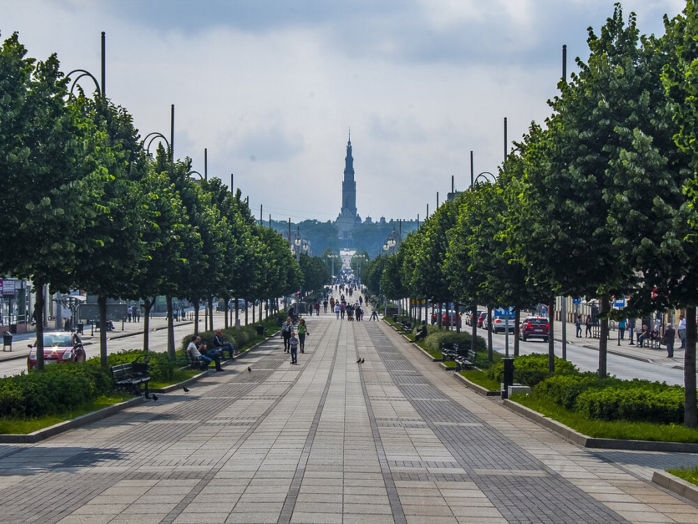 Pozycjonowanie stron Częstochowa