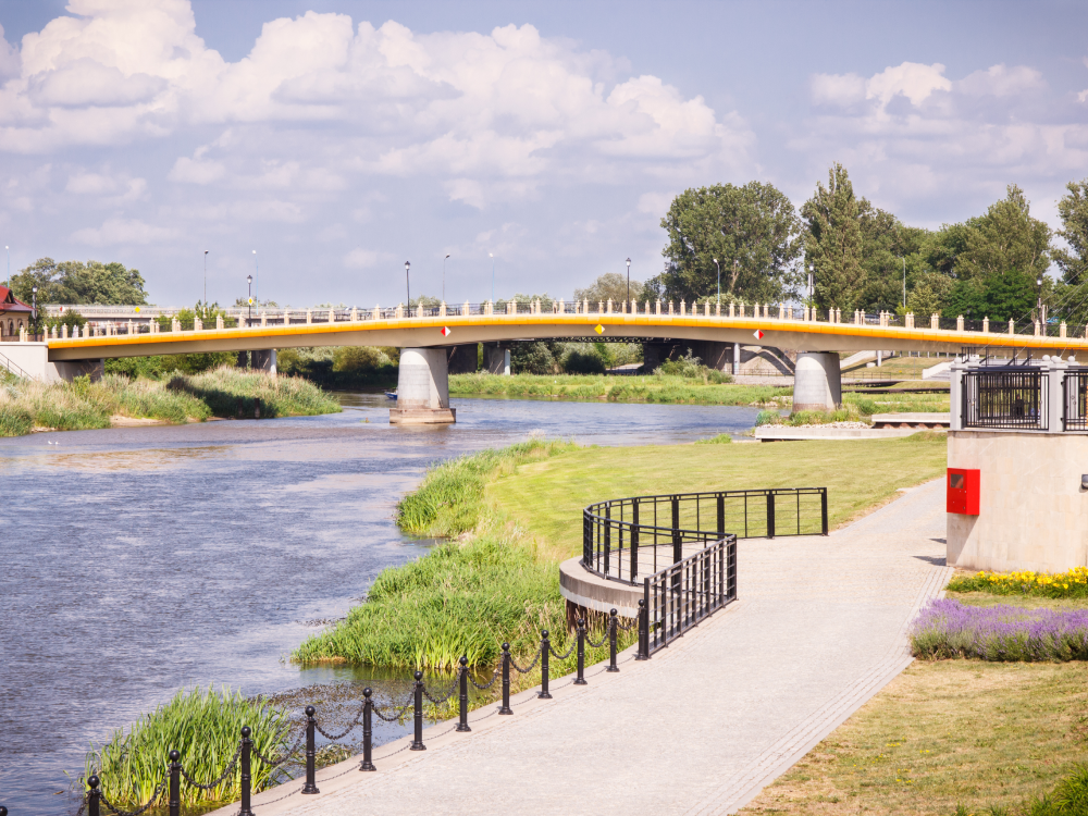 Pozycjonowanie stron Konin