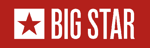 BIG STAR - logo